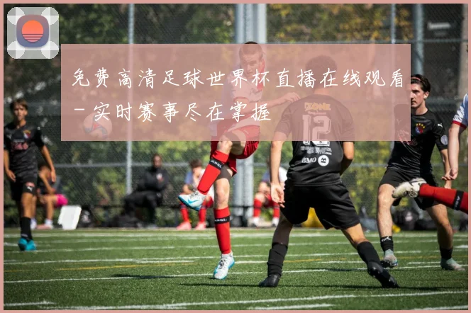 免费高清足球世界杯直播在线观看 - 实时赛事尽在掌握